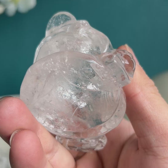 Crystal clarity demonstration of clear quartz golden toad carving