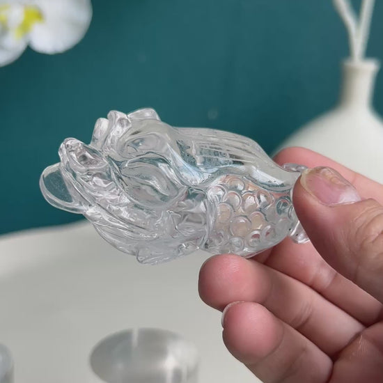 Clear quartz golden toad crystal carving shown with size perspective