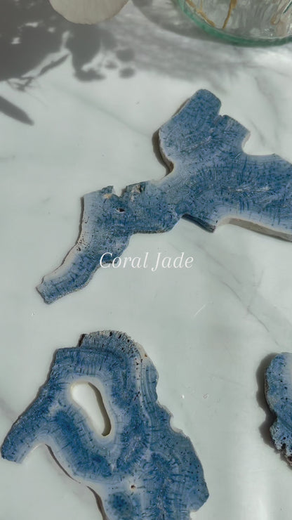 Natural Blue Coral Jade Freeform Wholesale