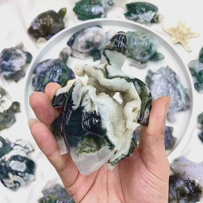 Moss Agate Turtle Wholesalers