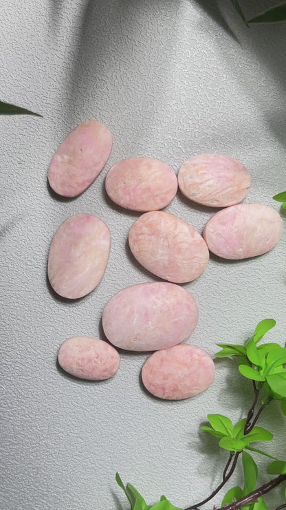 Wholesale Pink Aragonite Palm