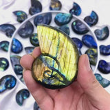 Natural Labradorite shell crystal with iridescent flash for crystal healing practitioners