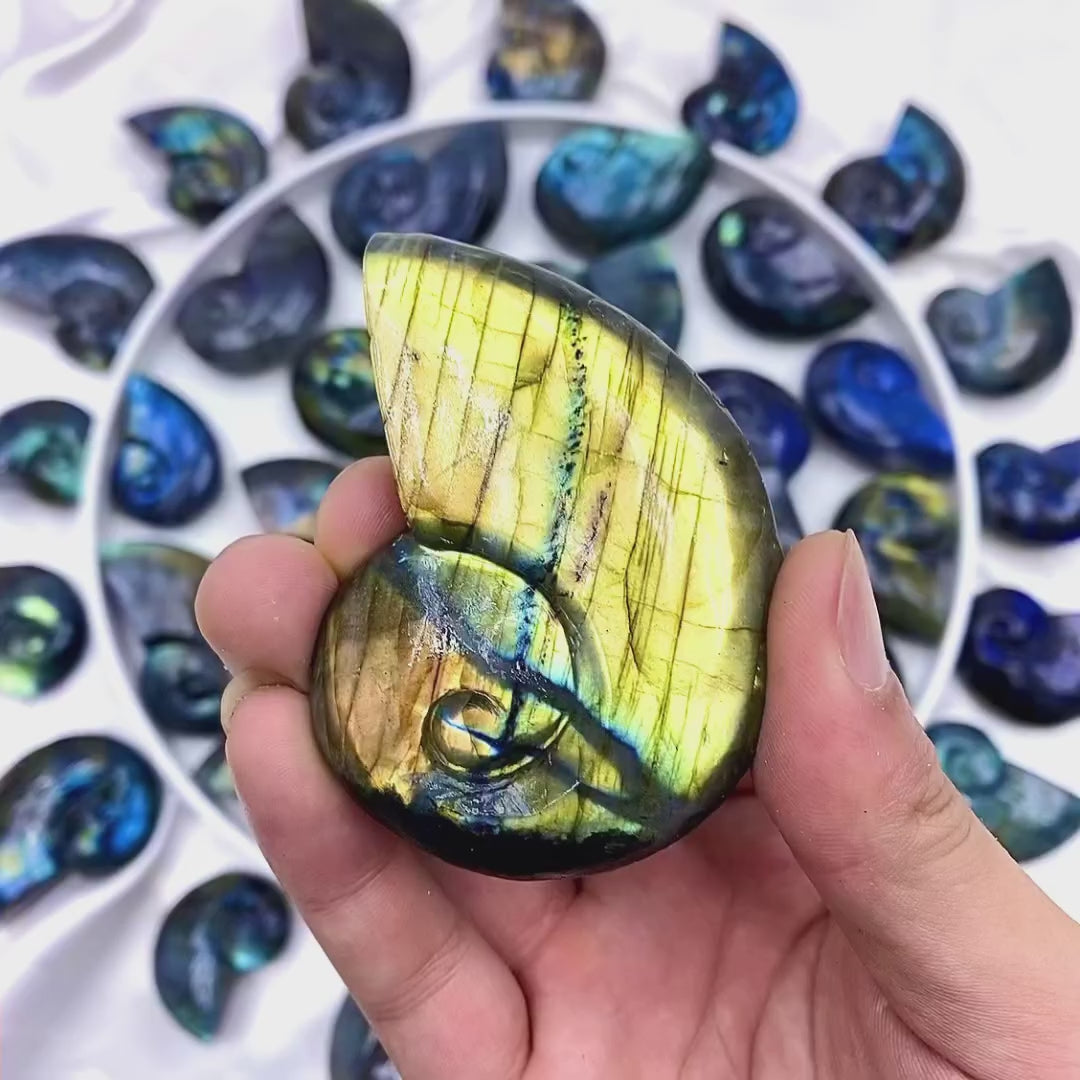 Natural Labradorite shell crystal with iridescent flash for crystal healing practitioners