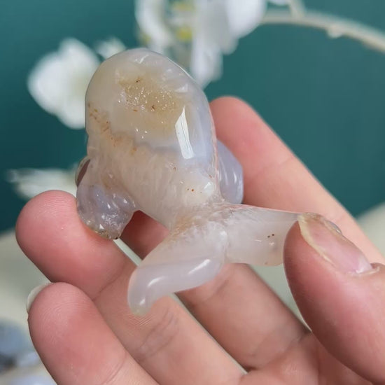 Dolphin shaped agate crystal highlighting natural crystal properties