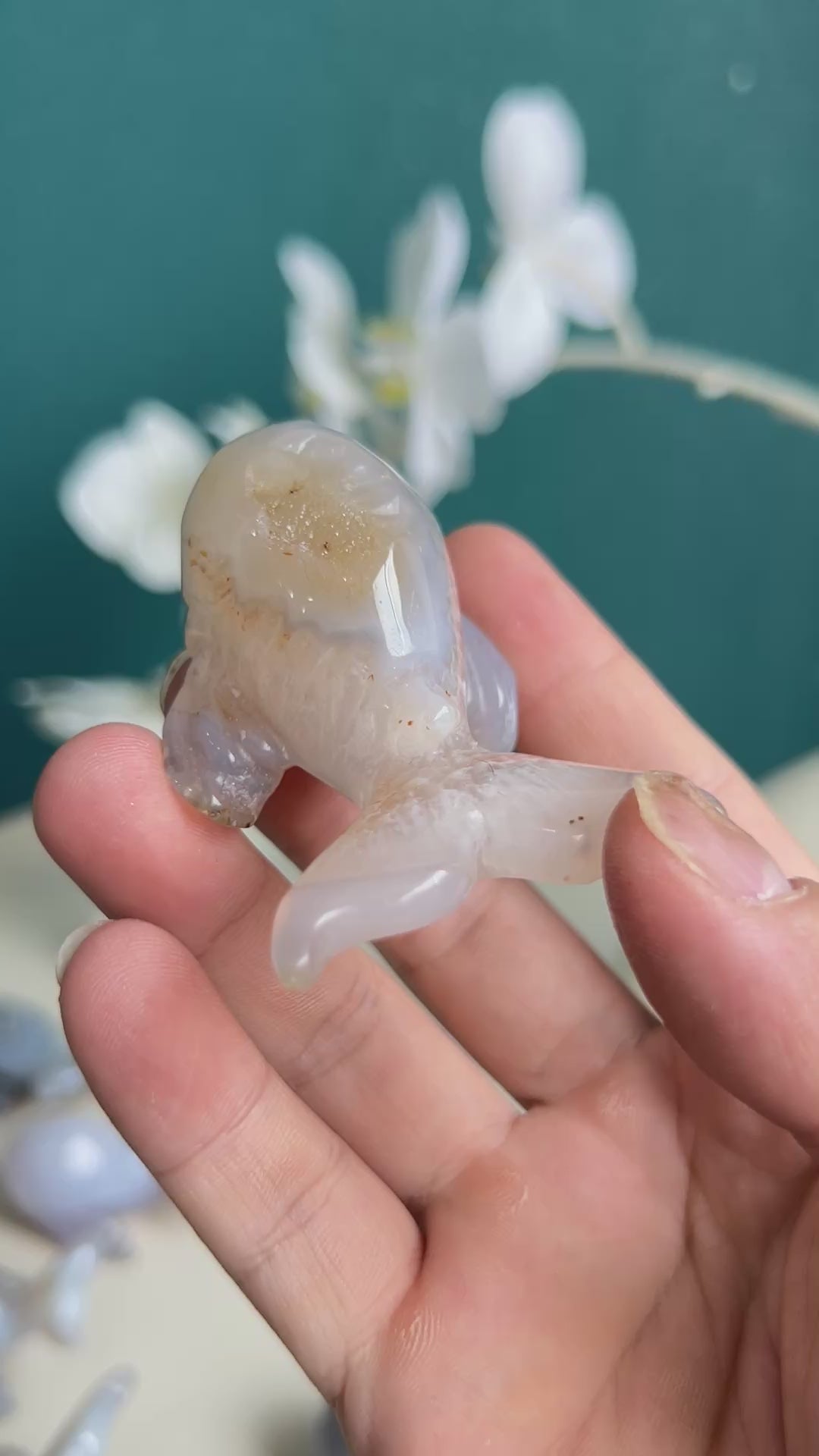 Dolphin shaped agate crystal highlighting natural crystal properties