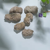 Wholesale collection of various Desert Rose Crystal clusters for crystal suppliers