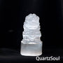 Natural Selenite Lion Palm Stone Crystal for Spiritual Healing and Meditation