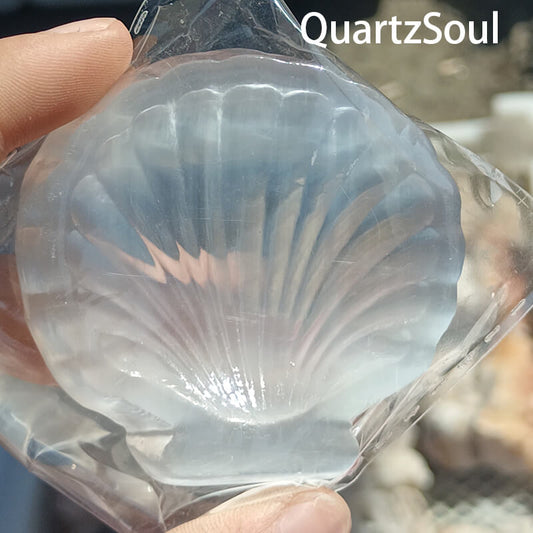 Premium shell shape selenite crystal wholesale supply for crystal retailers