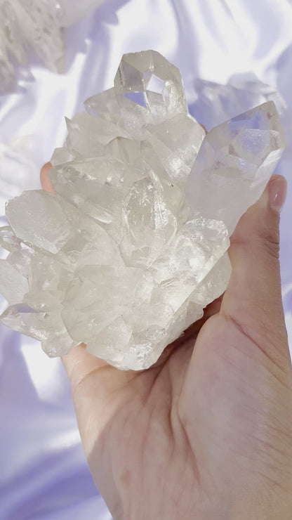 Lemurian cluster