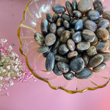 Premium Golden Black Moonstone Crystal with Golden Flash for Healing and Protection