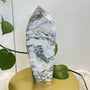 Natural Montana Moss Agate Tower Point Crystal with Forest-like Patterns
