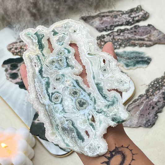 Rare 8th vein Ocean Jasper slice with orbicular patterns and green formations