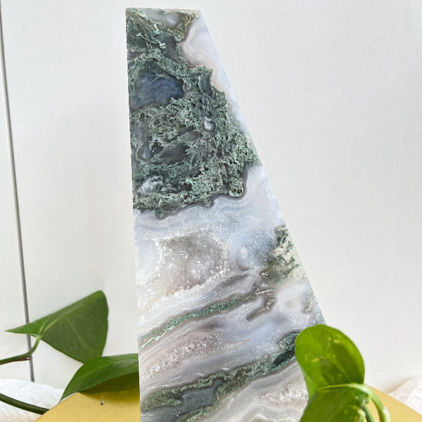 Premium Natural Druzy Moss Agate Free Form Crystal Healing Stone